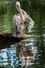 《塞尔达传说：王国之泪》开发初期并没有剧情 专注于游戏玩法